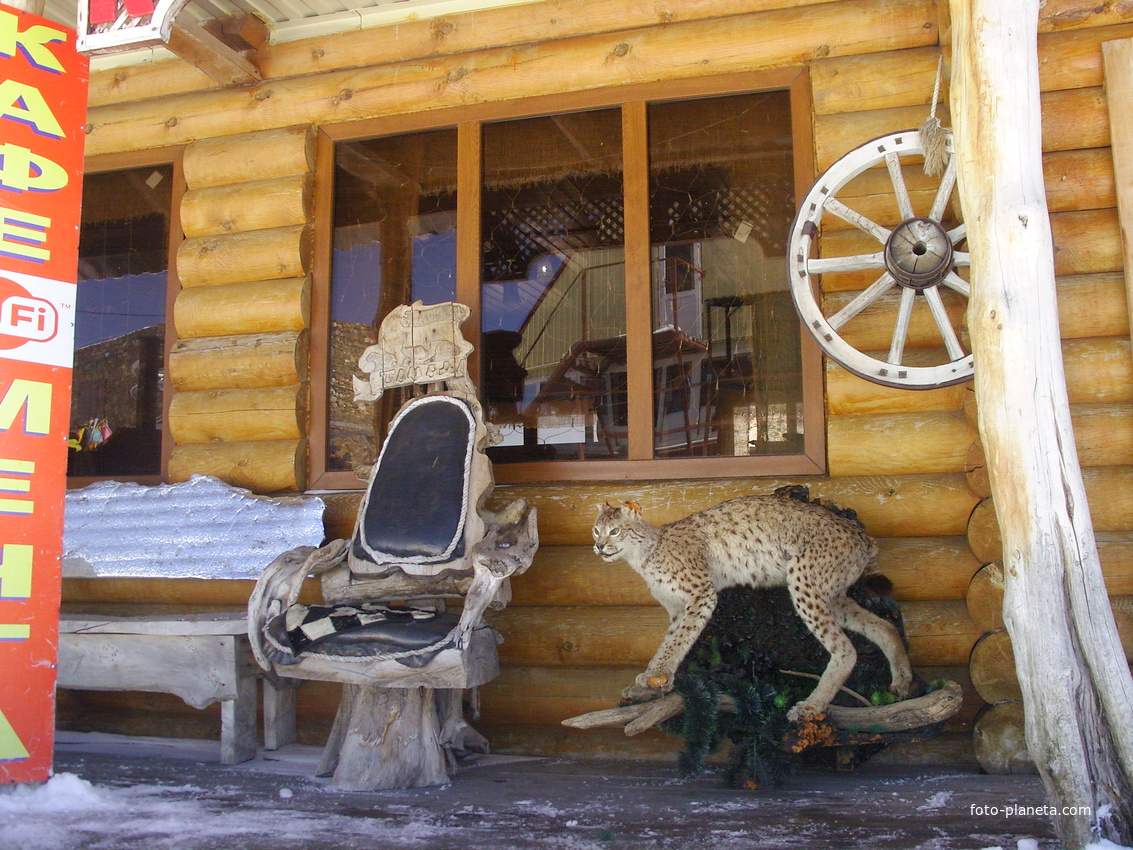 Домбай. У кафе &quot;Эдельвейс&quot; на высоте 3км