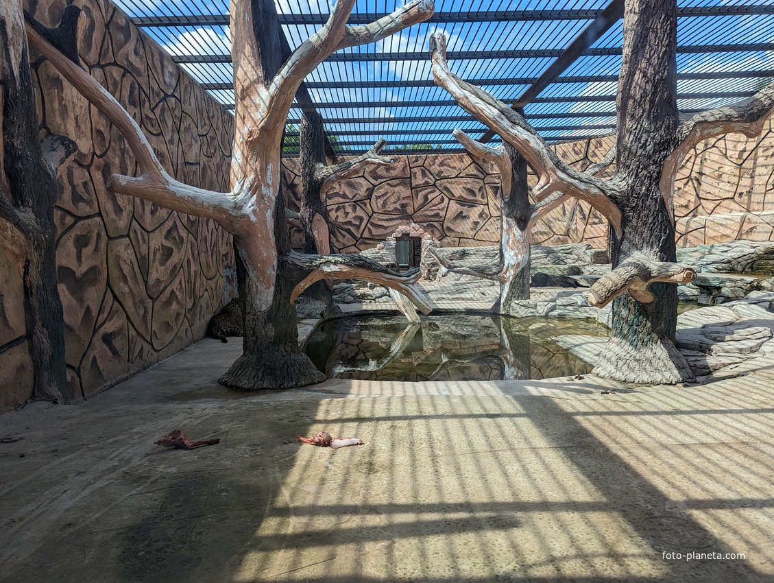 Один из вольеров