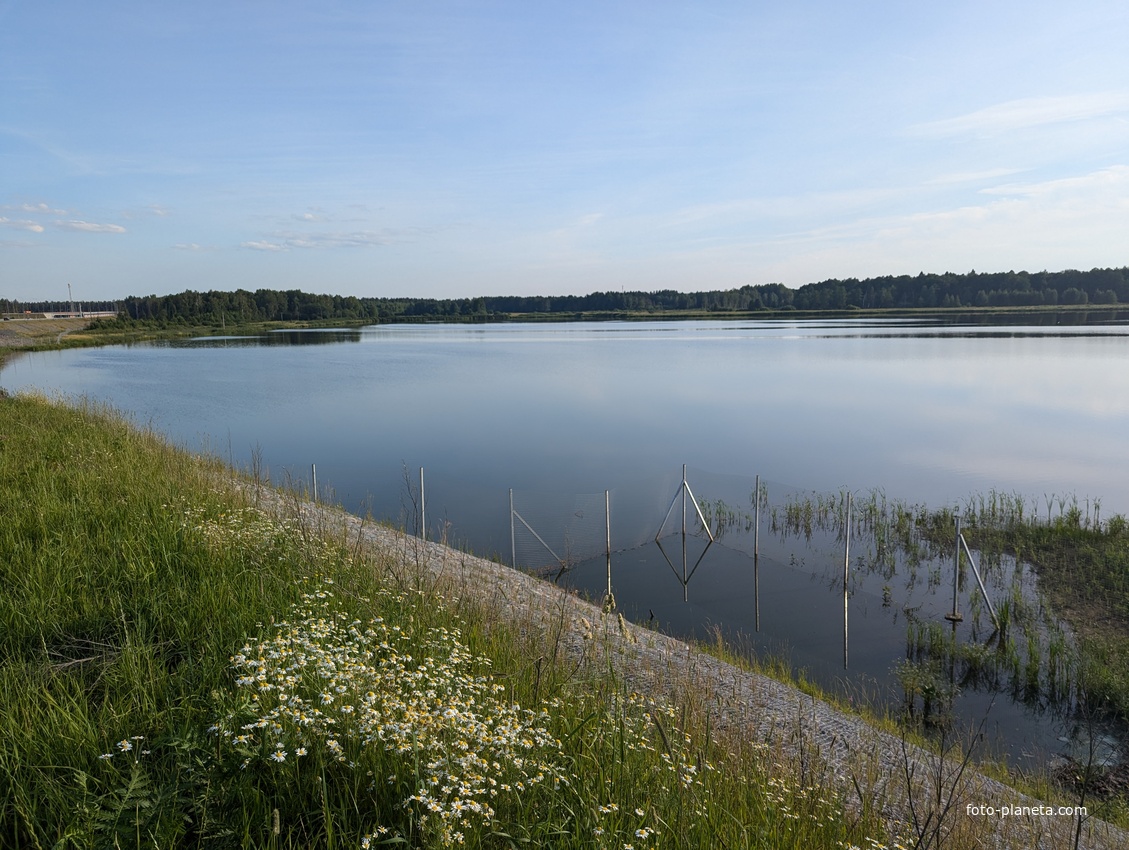 Пруд неподалеку от Высоково