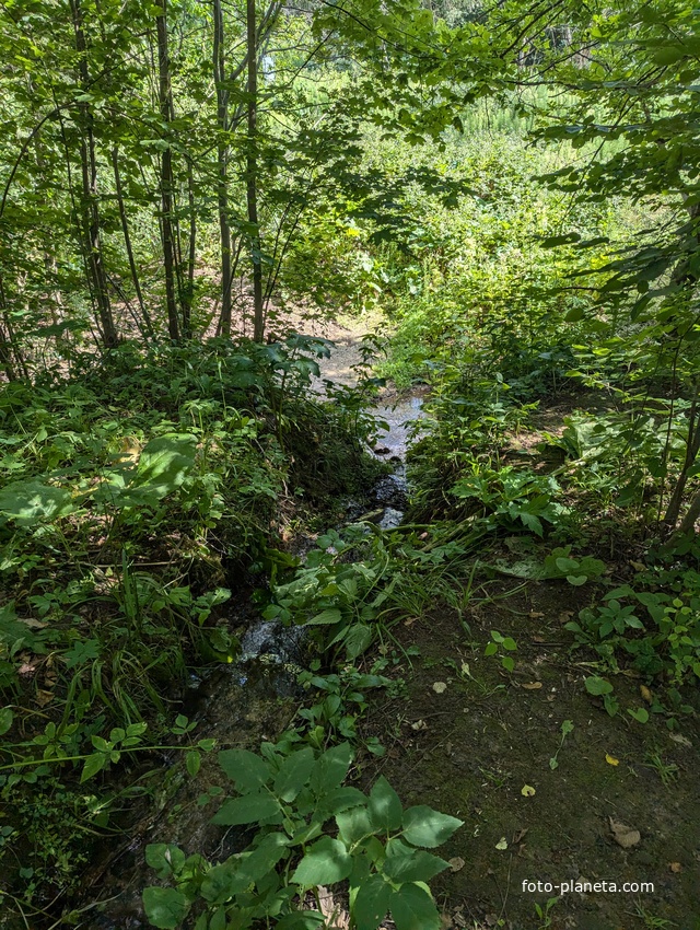 Ручей у водопада