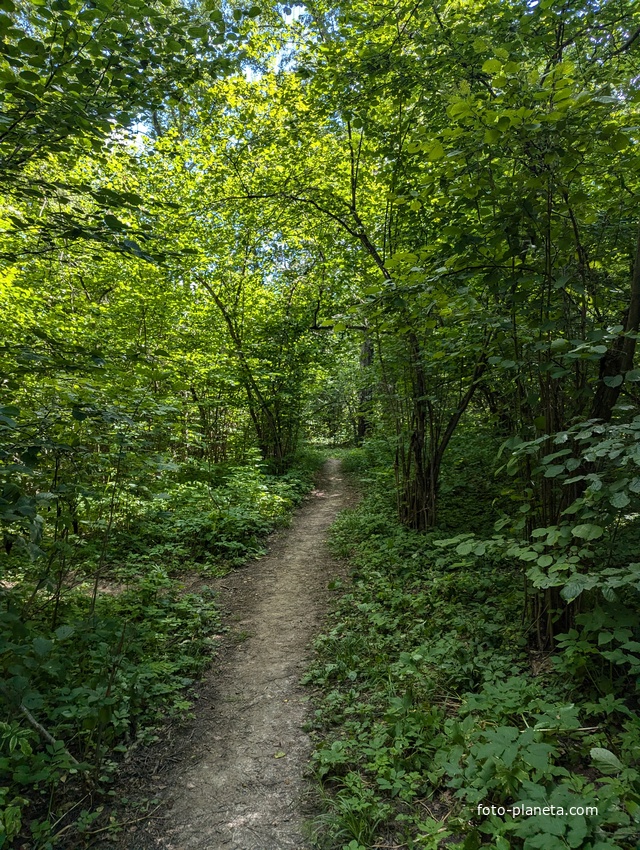 Дорога к водопаду
