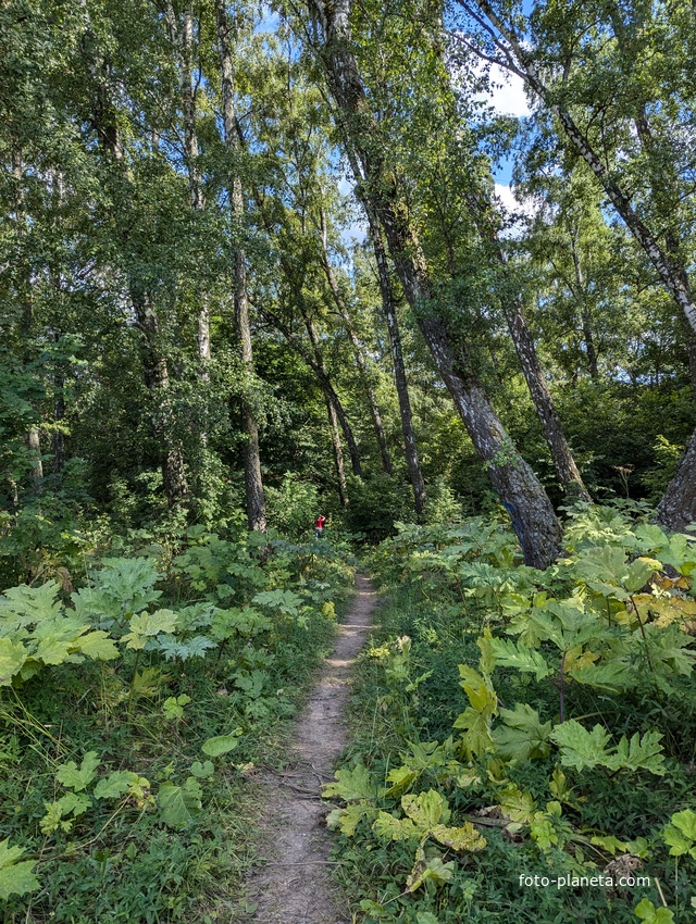 Дорога к водопаду