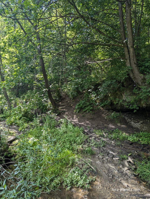 Ручей у водопада