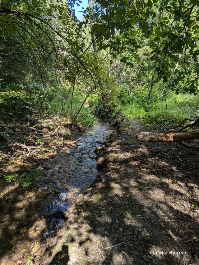 Ручей у водопада