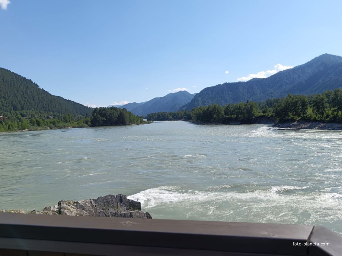 Вид со смотровой площадки на реку Катунь