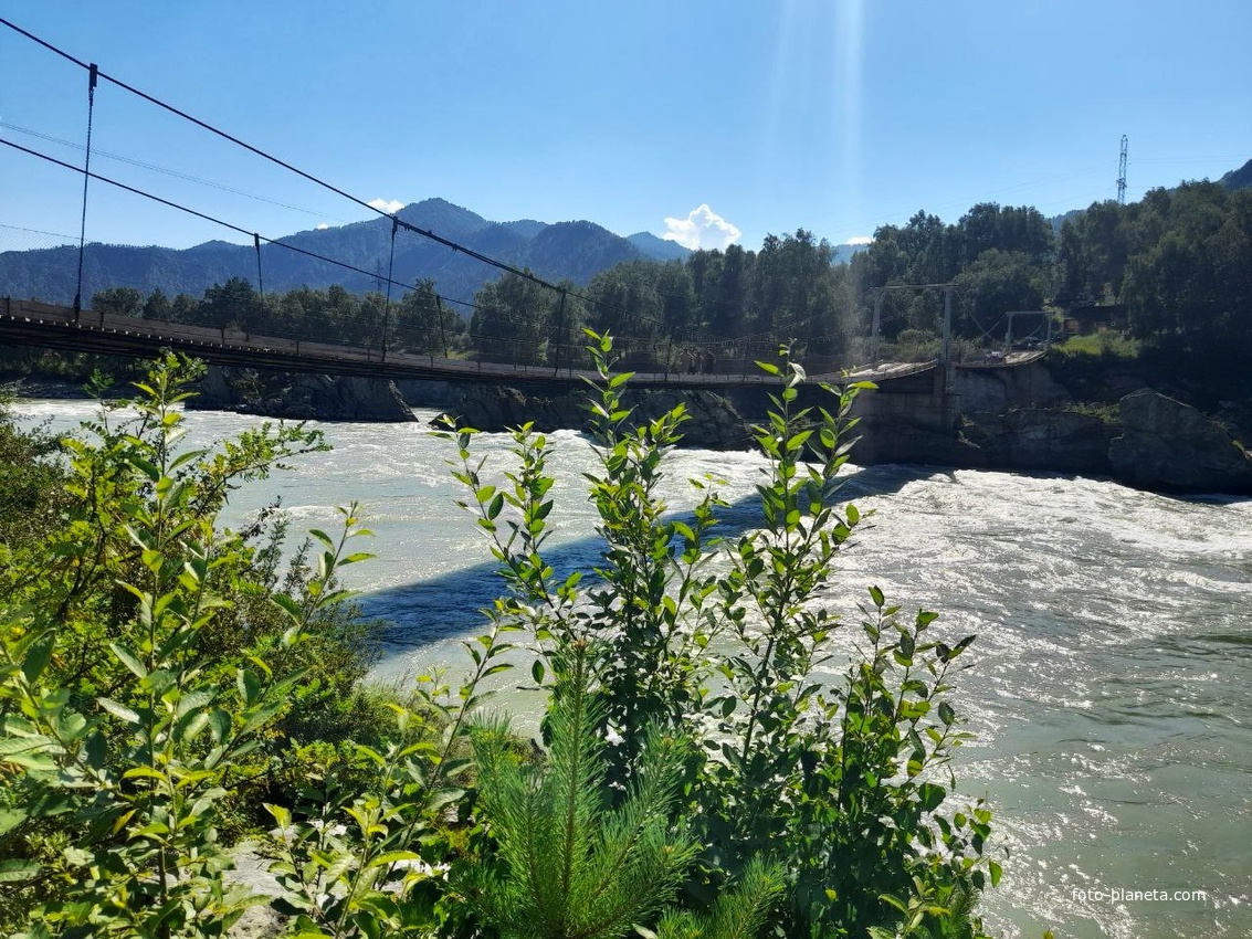 Автомобильный навесной мост через реку Катунь