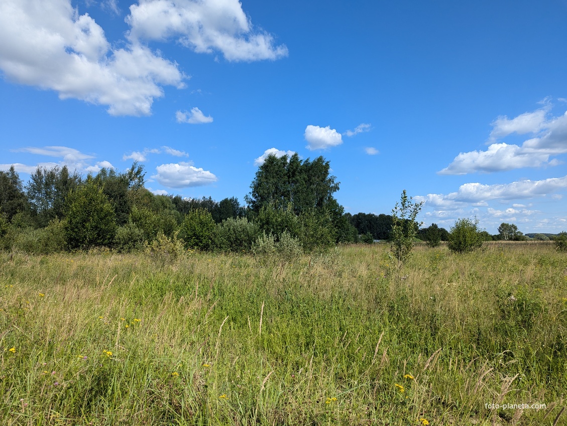 Окрестности деревни