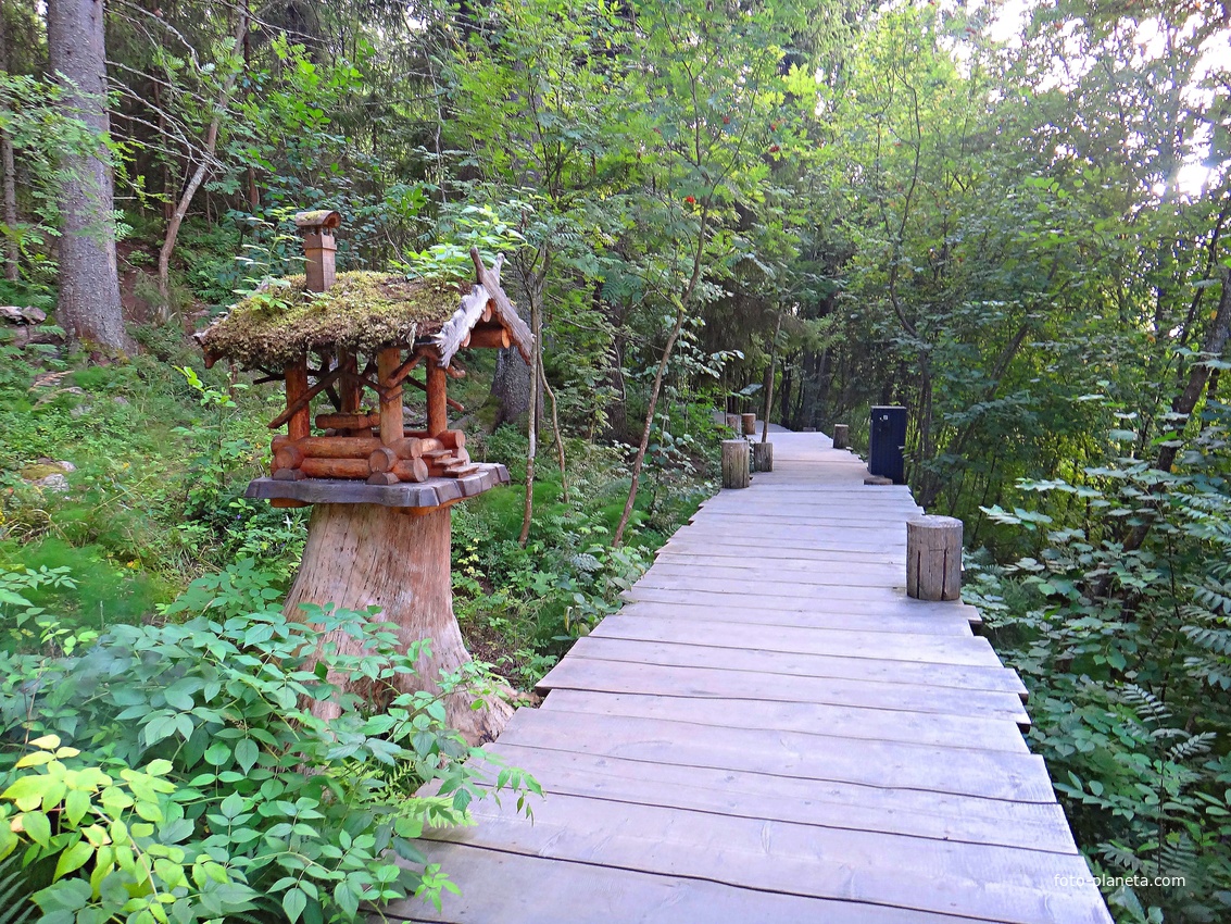 Обустроенная тропа на гору Паасонвуори (Паасо)