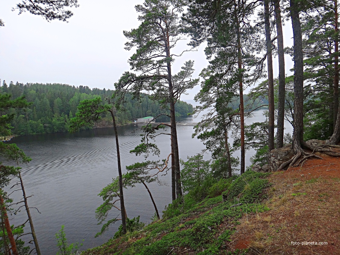 Вид со смотровой площадки горы Елеон на Малую Никоновскую бухту и форелевое хозяйство