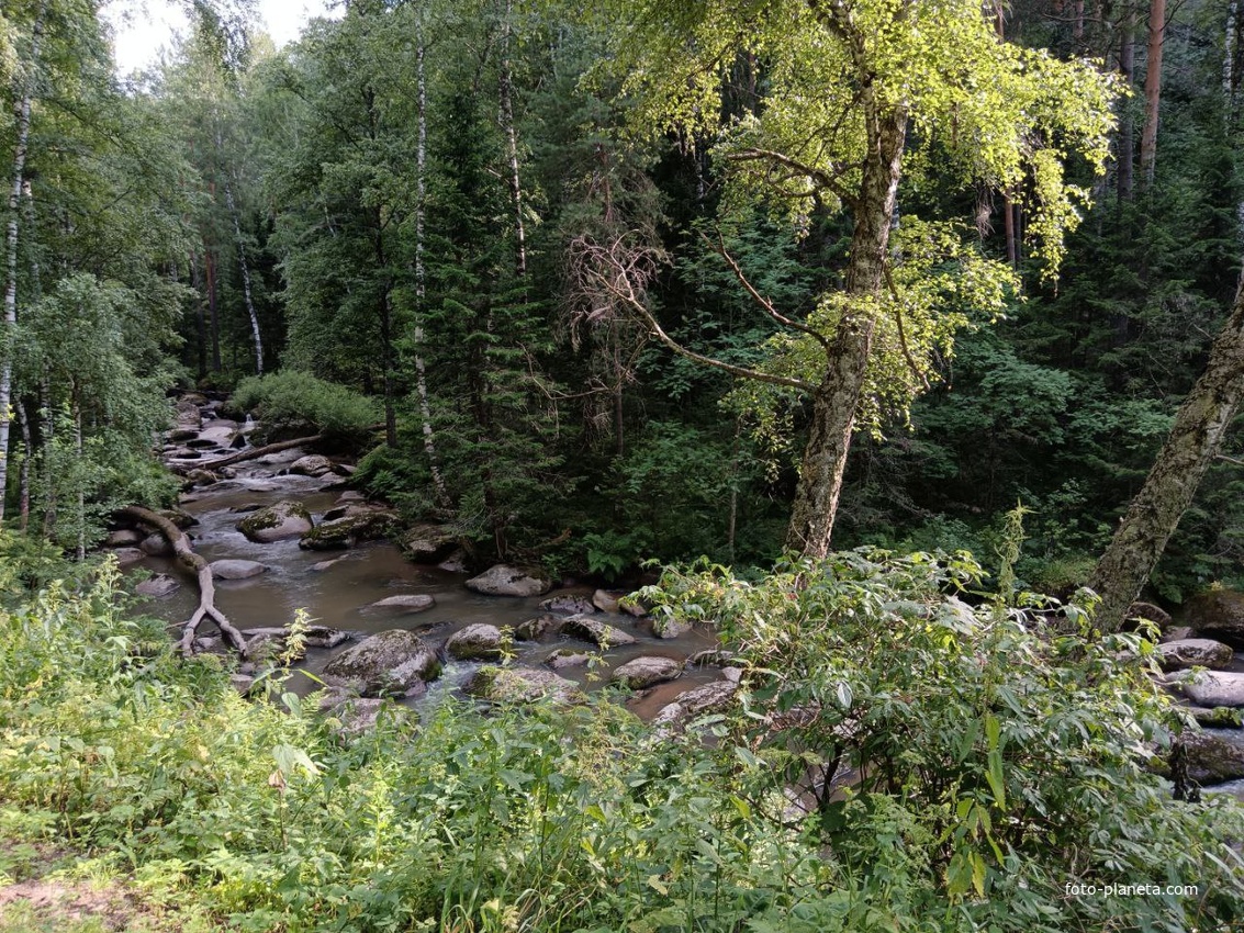 Река Белокуриха