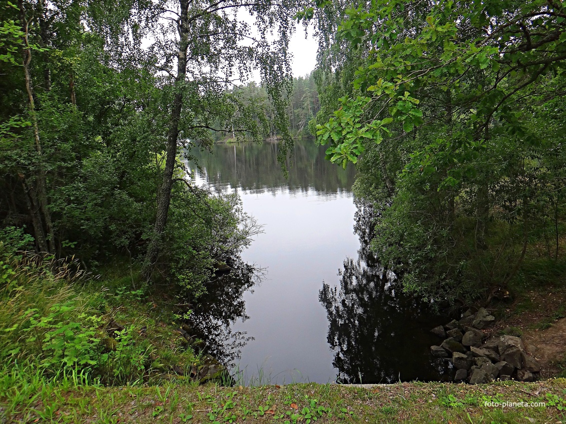 Вид с Владимирского моста на пролив в Кукинский залив
