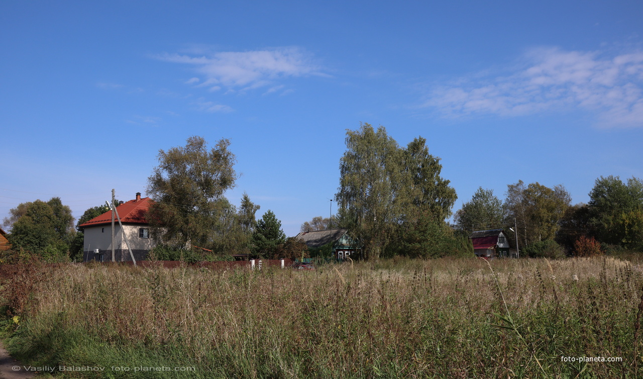 С. Большие Вёски