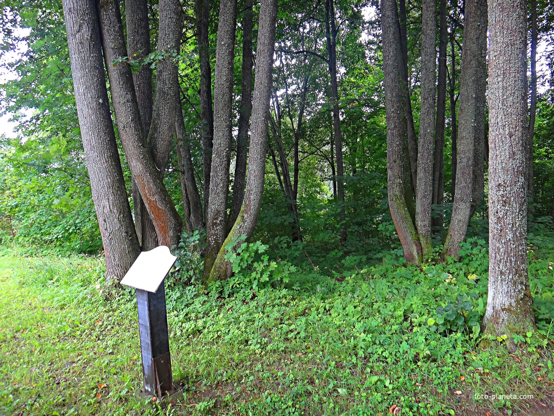 В парке усадьбы.