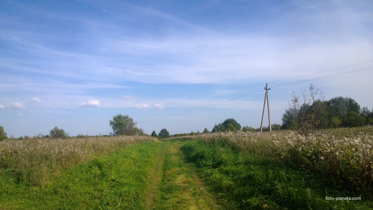 Дорога в Фомино