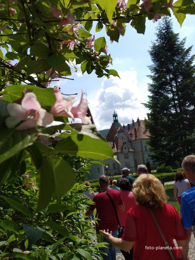 Замок Шенборн.