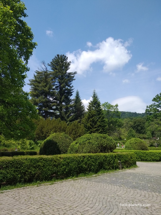 Замок Шенборн.