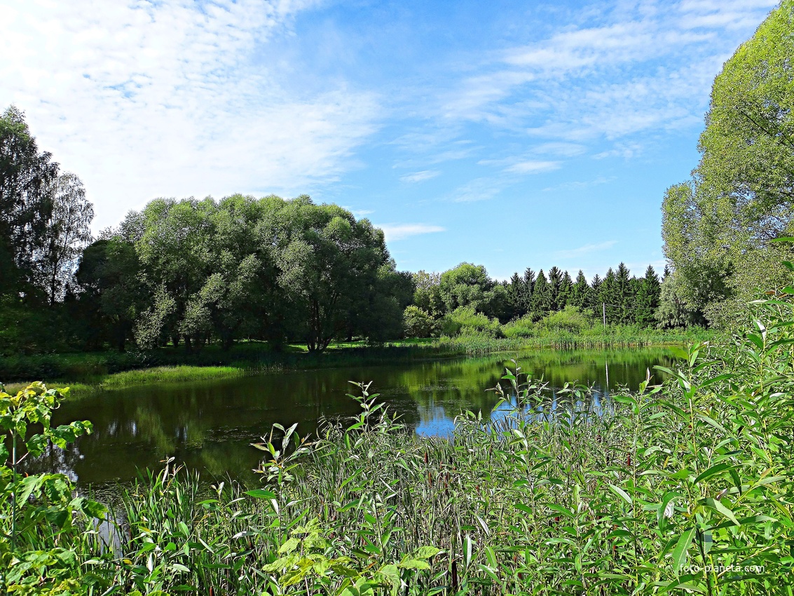 Старинный Краськовский пруд в Дендрологическом саду им. С.Ф. Харитонова.