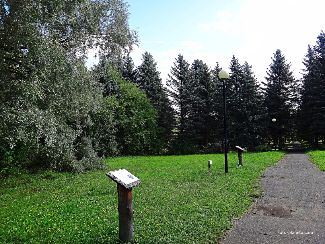 Дендрологический сад им. С.Ф. Харитонова.