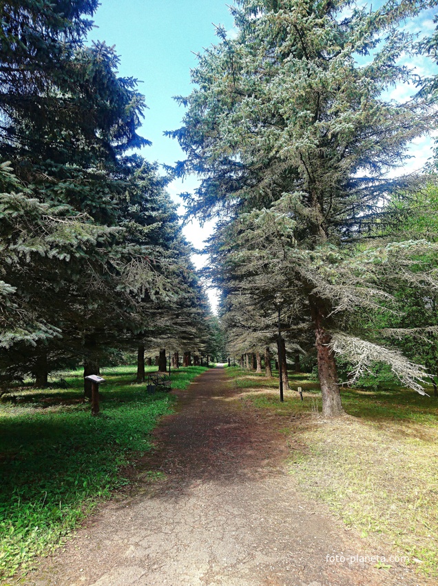 Дендрологический сад им. С.Ф. Харитонова.