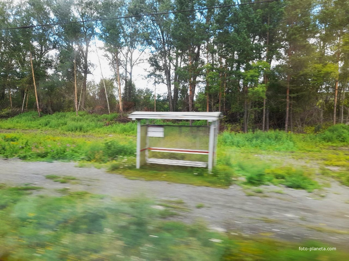 Платформа 2010 км