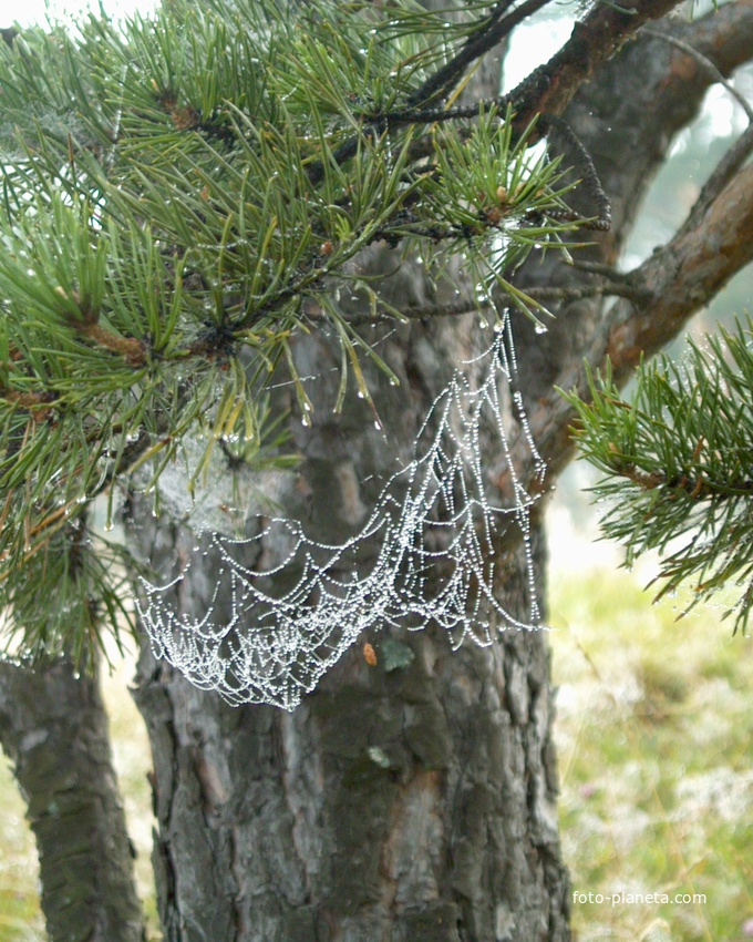 На берегу Уфалейки