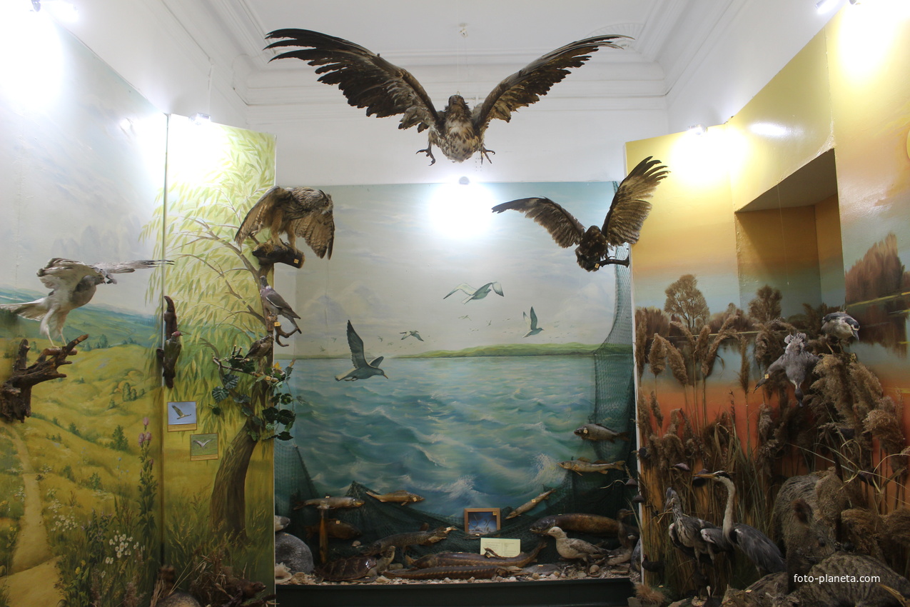 В Темрюкском историко-археологическом музее.