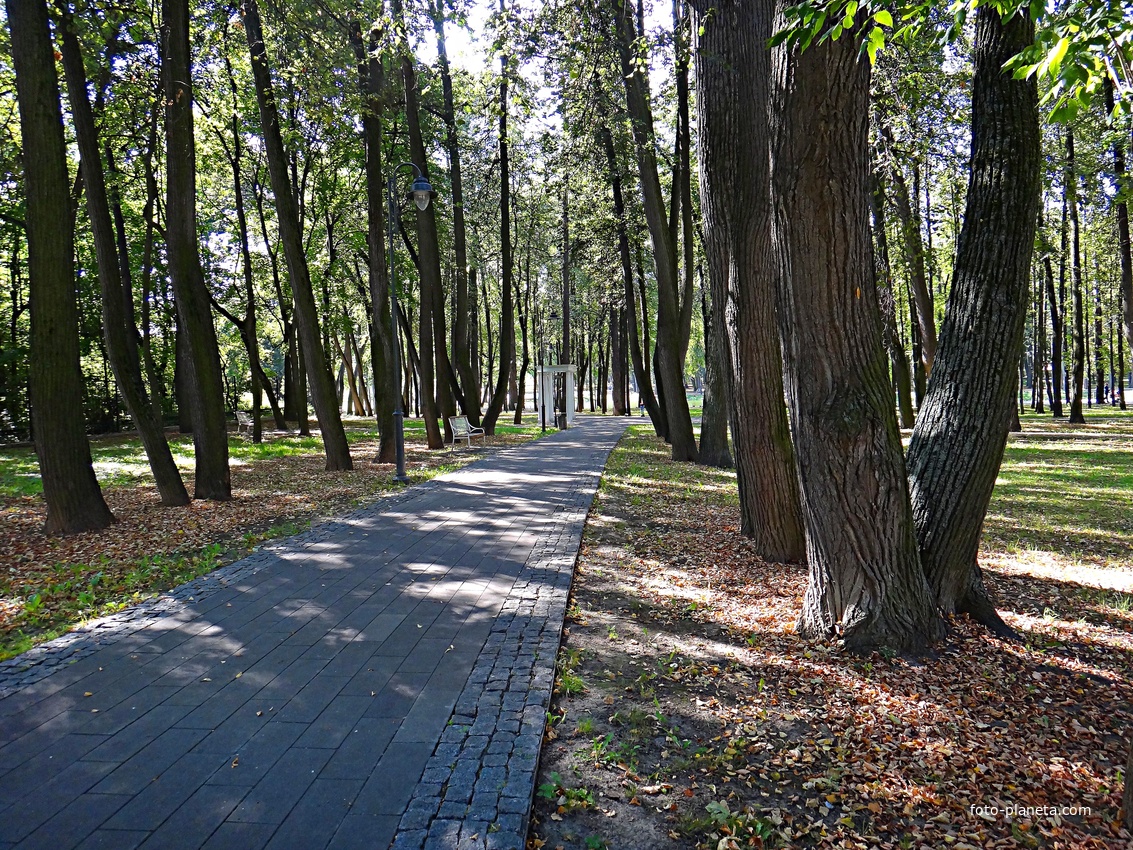 Парк усадьбы Кривякино. Одна из аллей (лучей) &quot;Восьмилучника&quot; в парке.