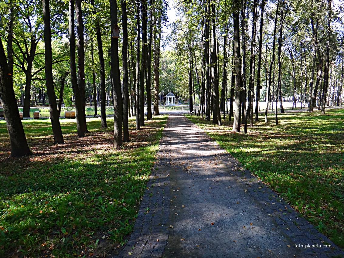 Парк усадьбы Кривякино. Вдалеке по аллее - ротонда.