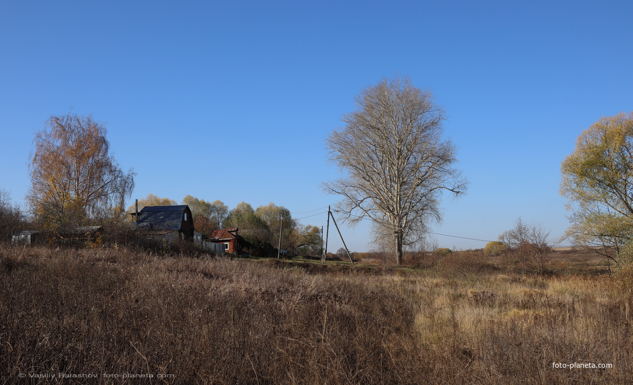 С, Яновец, вид к западу