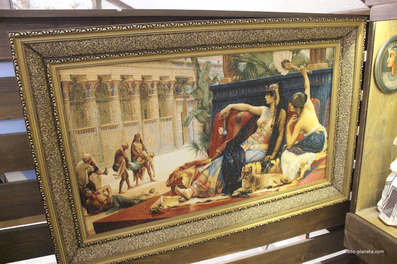 В музее &quot;Планета осликов&quot;.