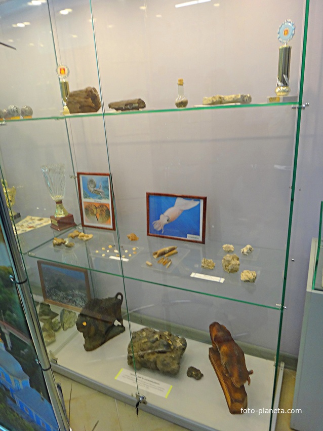 Отдел краеведения Центральной библиотеки на Пионерской ул. 9 (историко-краеведческий музей).