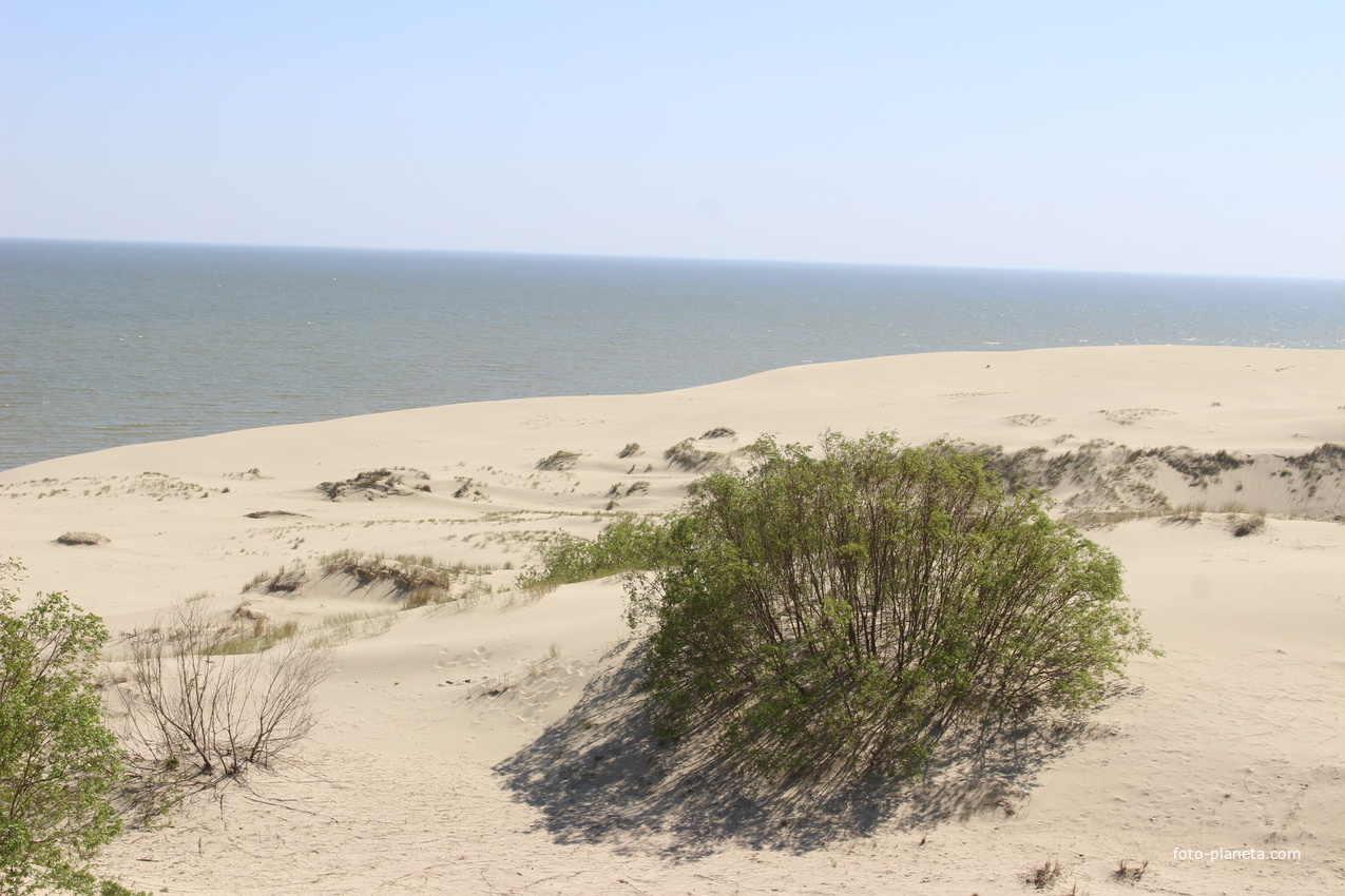 Экологическая тропа &quot;Высота Эфа&quot;.