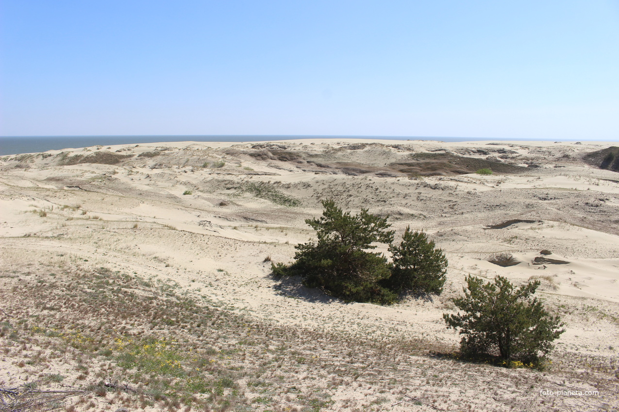 Экологическая тропа &quot;Высота Эфа&quot;.