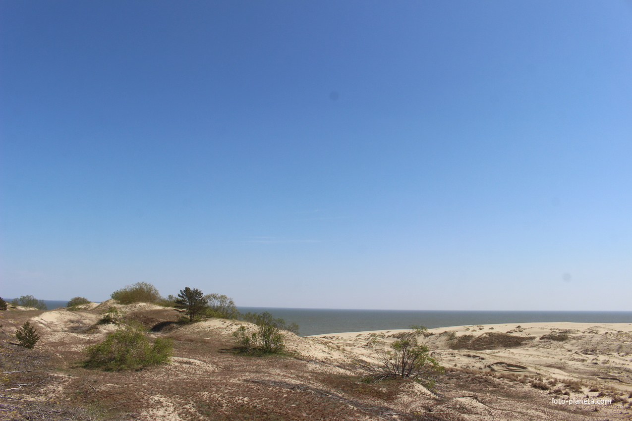 Экологическая тропа &quot;Высота Эфа&quot;.