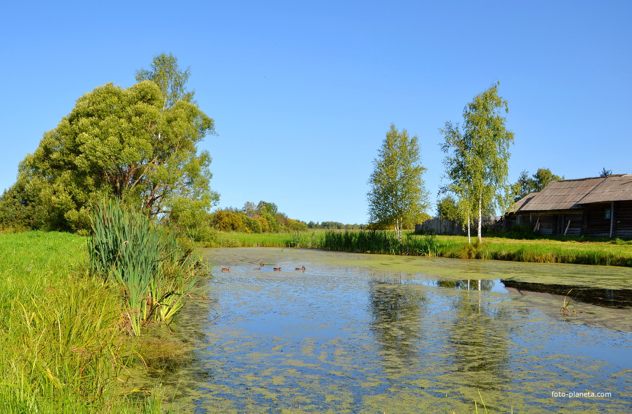 Мартыново. Алёнкин пруд.