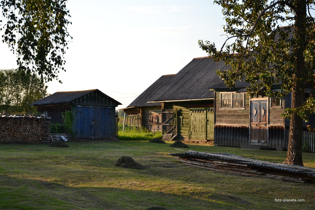 Лето в деревне. Мартыново.