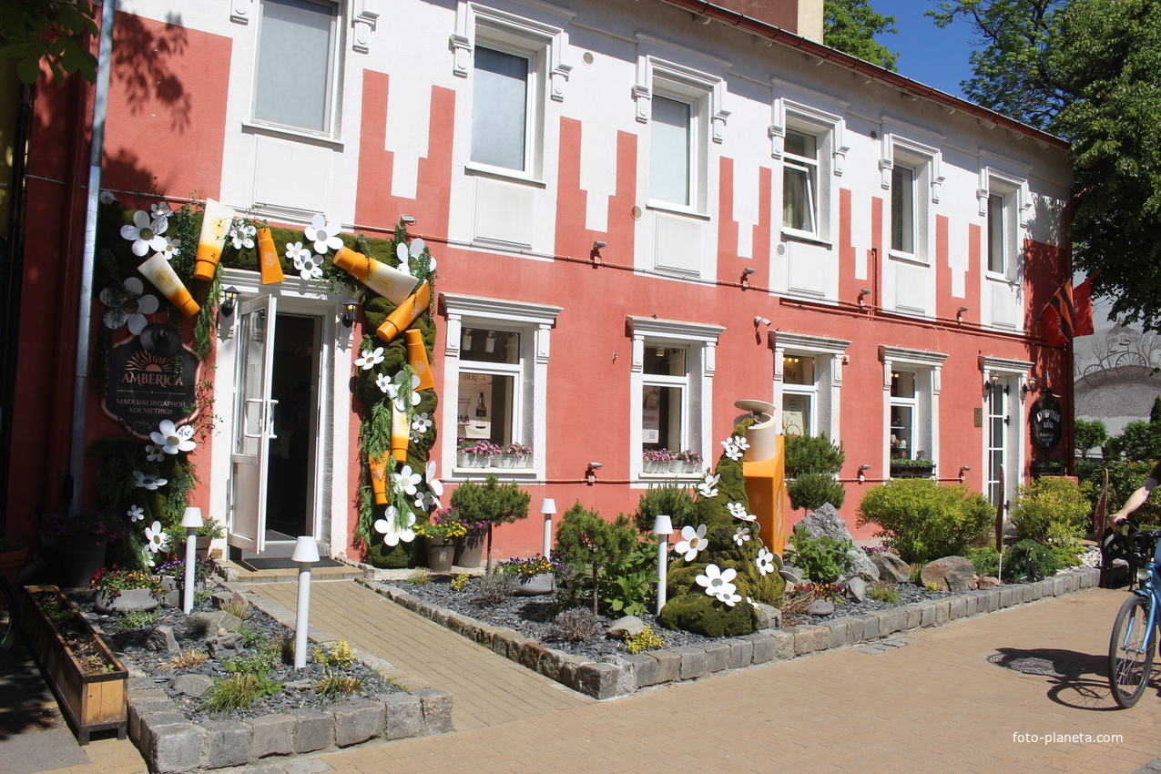 Курортный проспект.