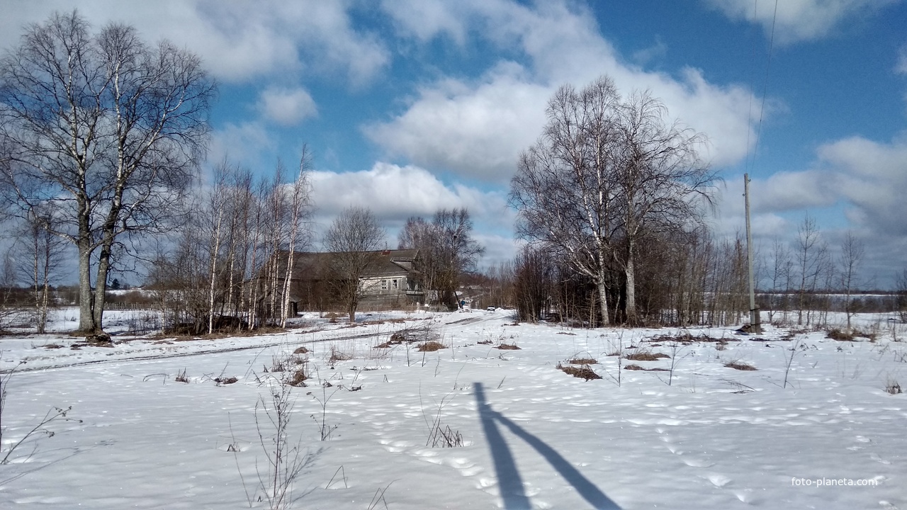 Вид на дорогу в д. Гороховка