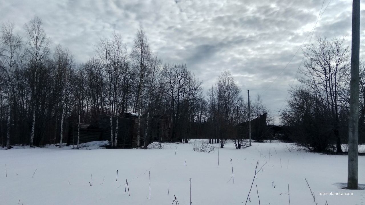 Вид на заброшенную д. Каплиха