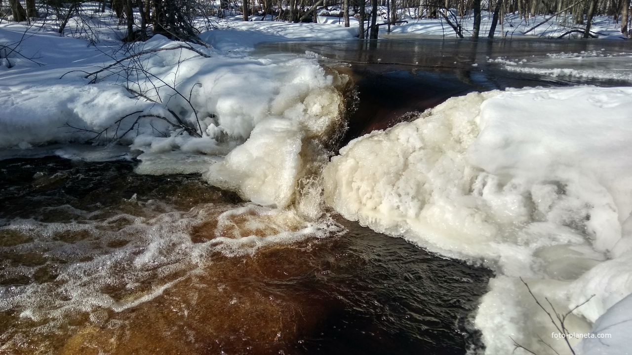 Ручей вблизи д. Козулино