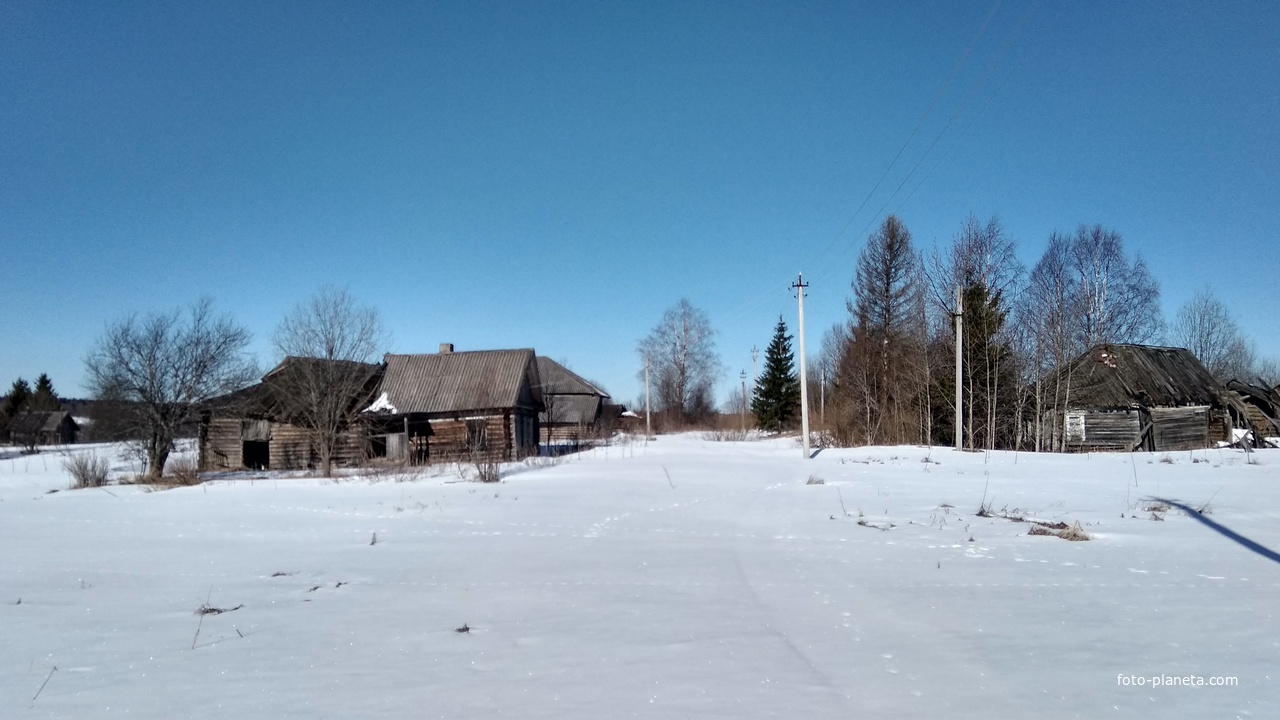 Улица в д. Кудрявцево