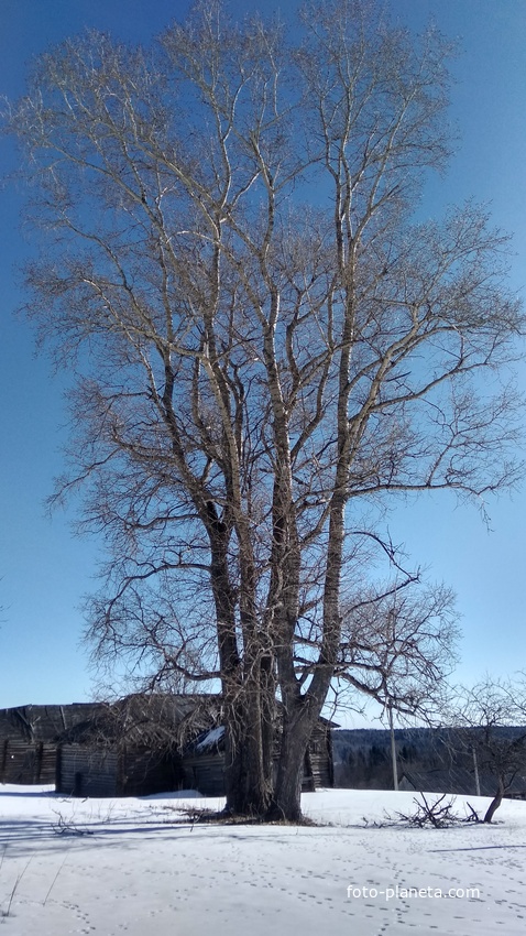 Центральная часть д. Зимница