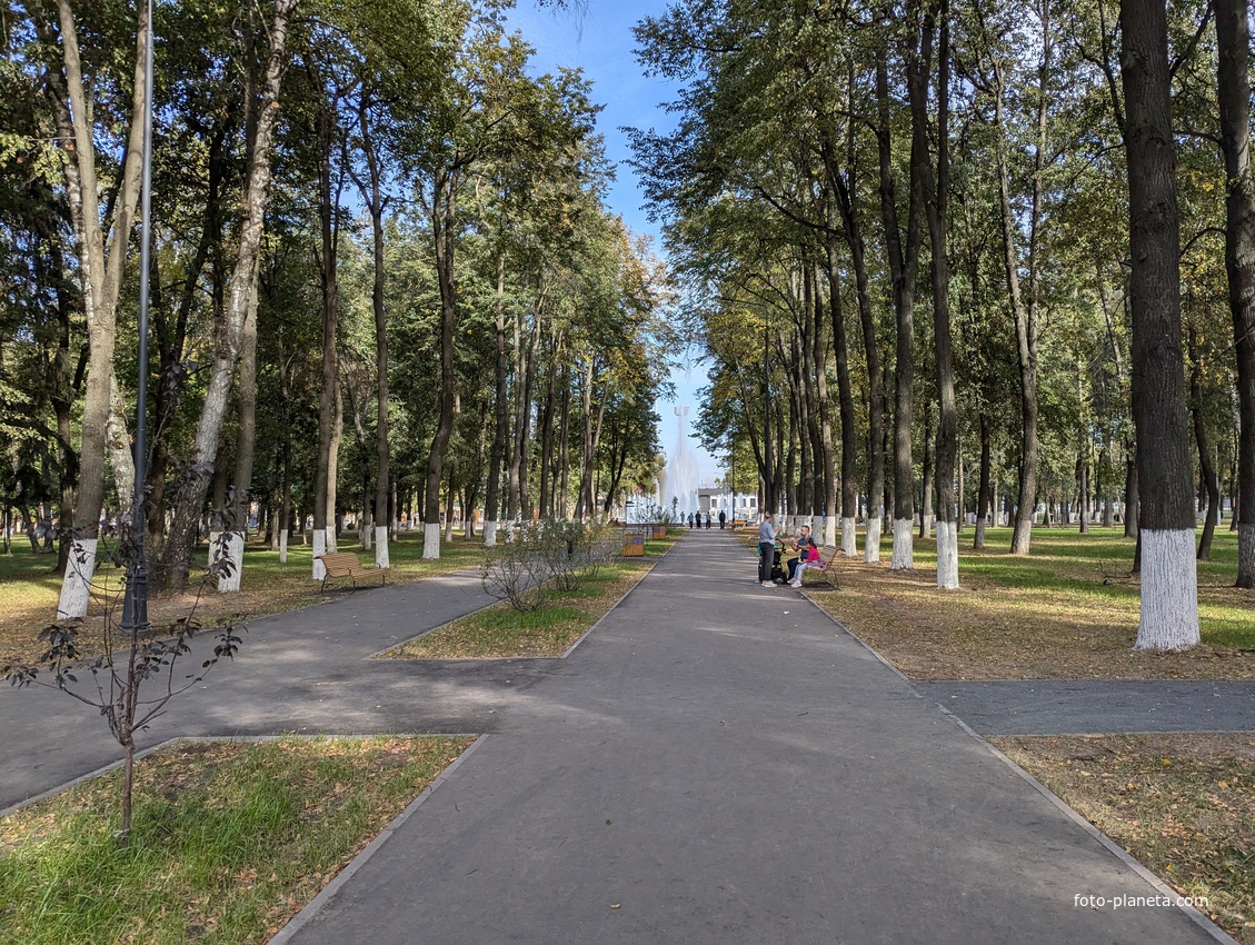 Аллея парка