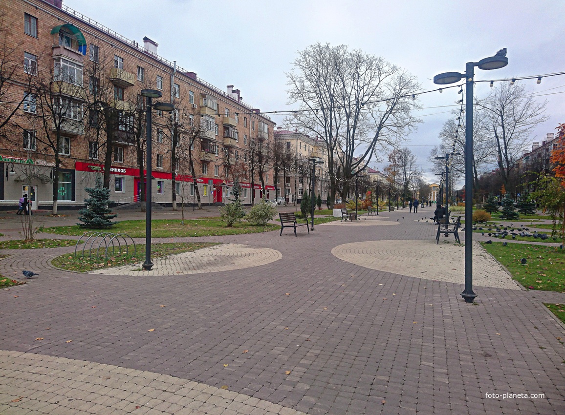 Центральная аллея.