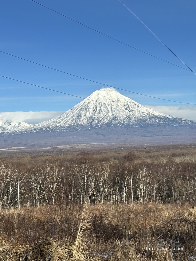 Вулкан домашний