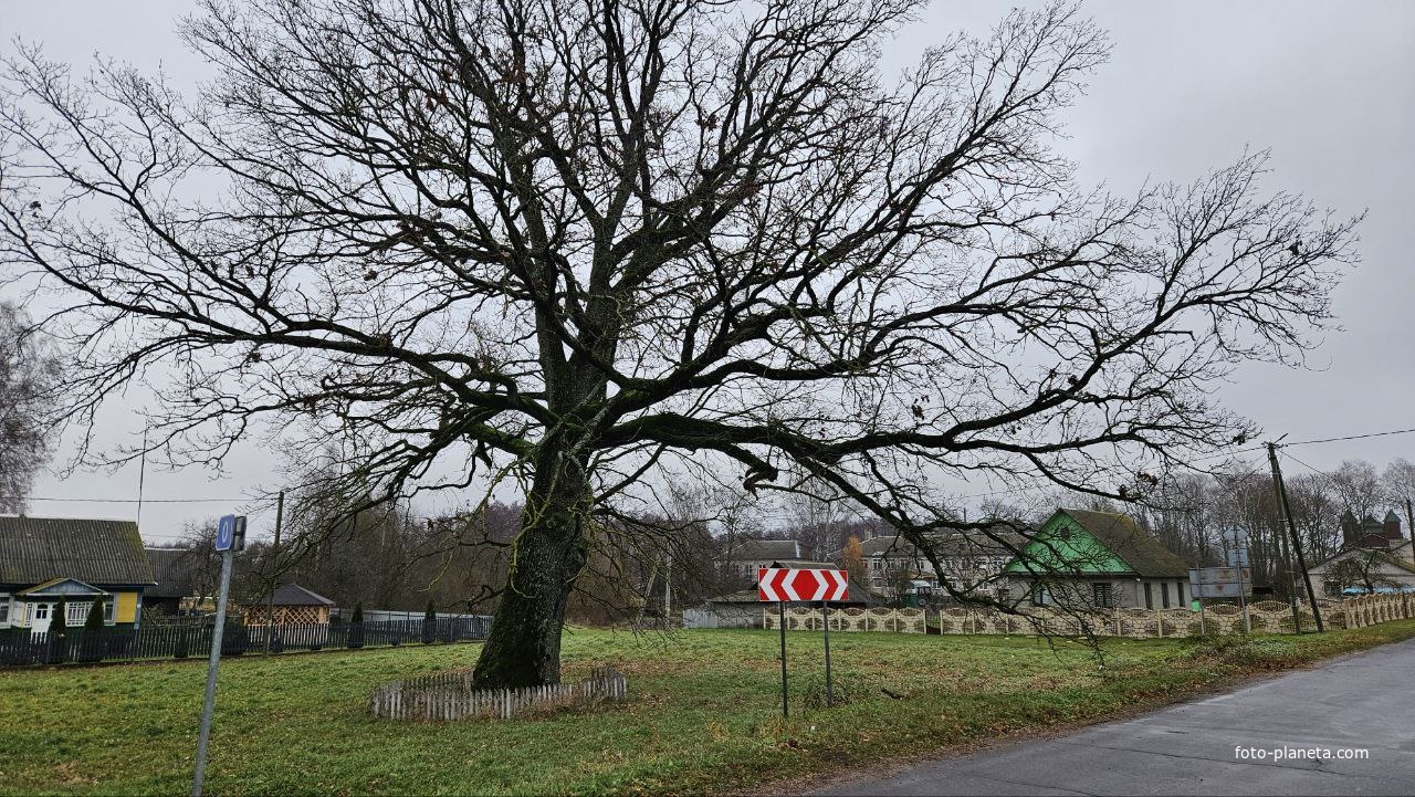 Улица Центральная