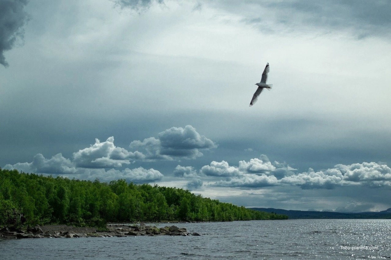 Безмятежность. (оз. Куэтсъярви)