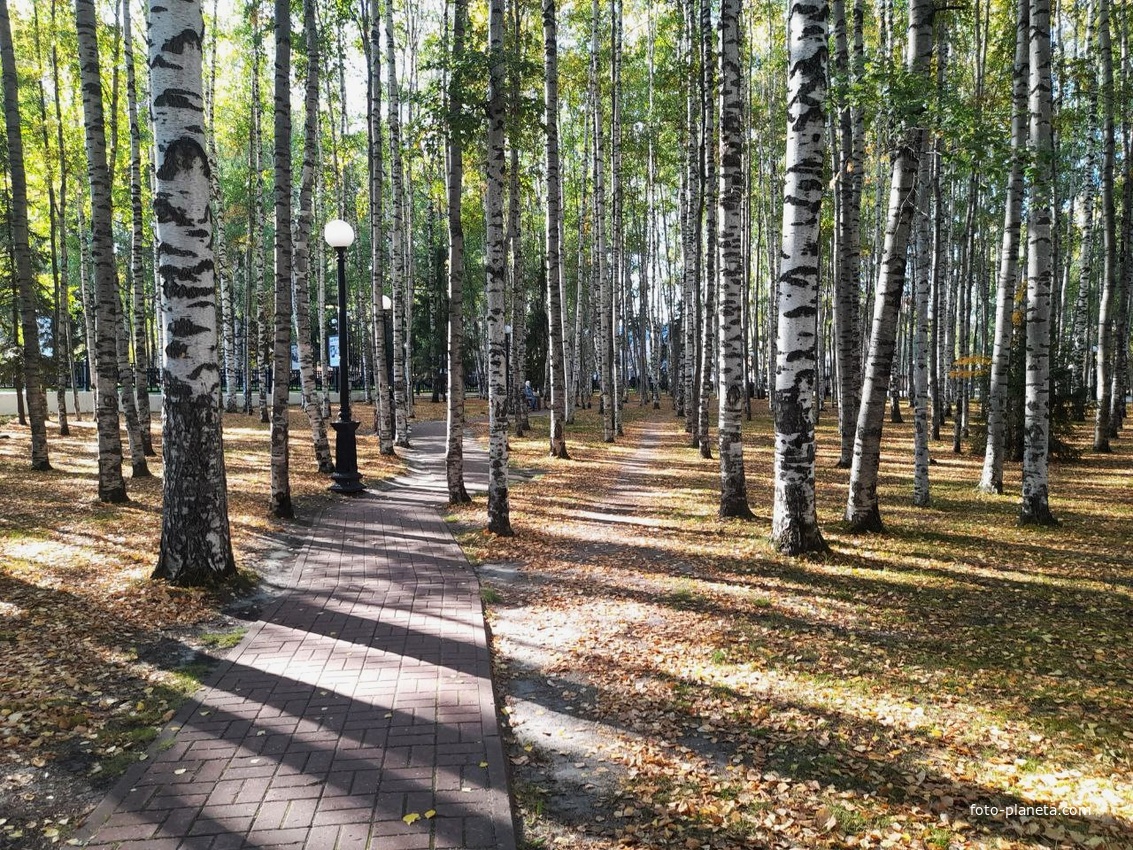 Парк Победы