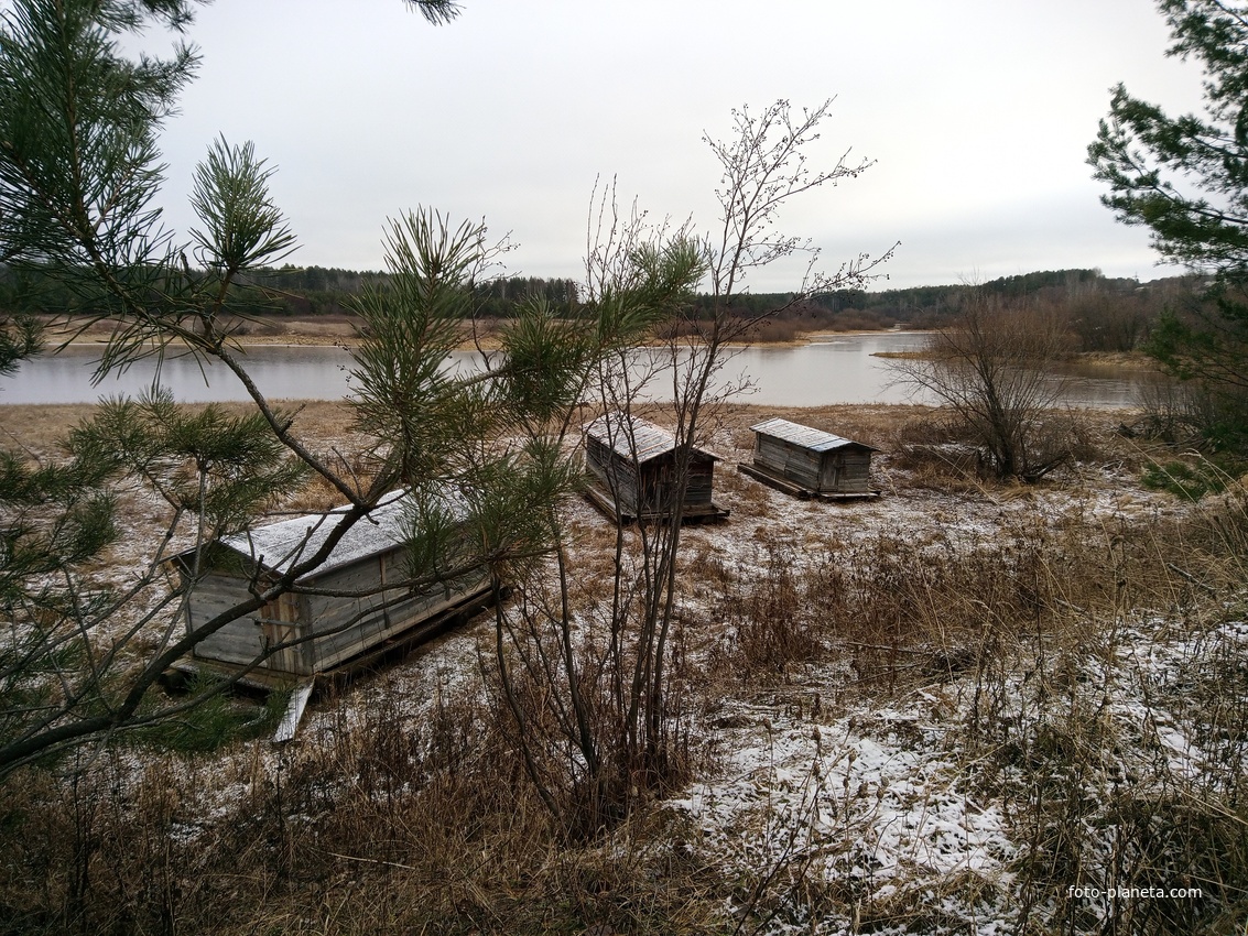 Рождественское. Осень 2024г.