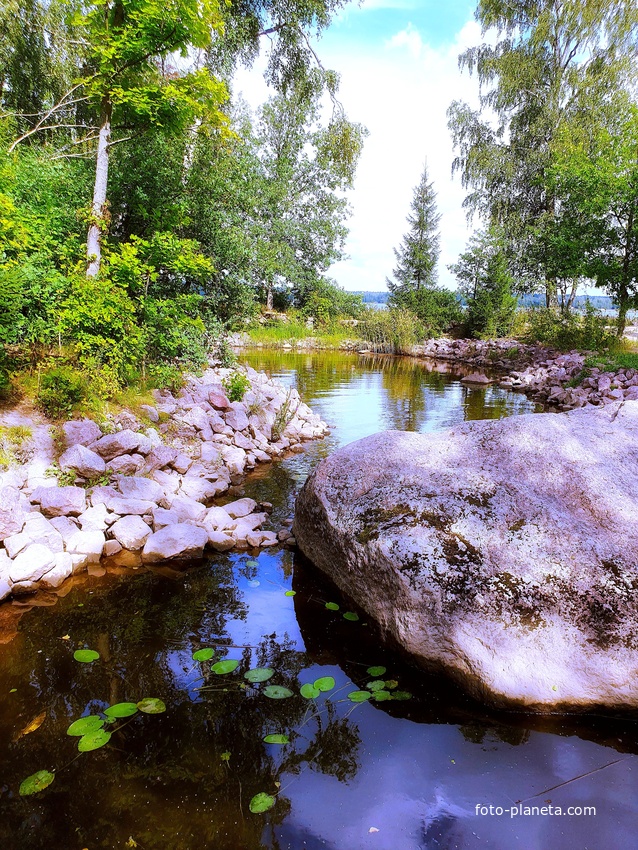 Пейзаж у воды .